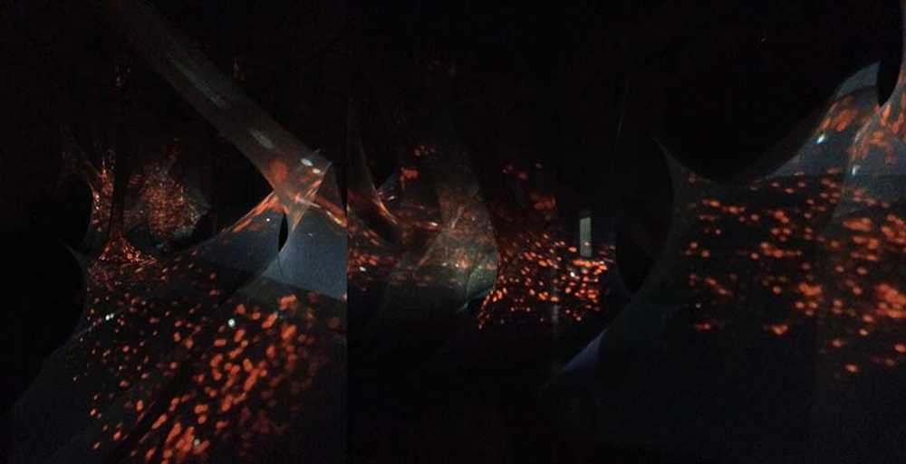 Julia von Stietencron: plots of art, science, and human perceptions