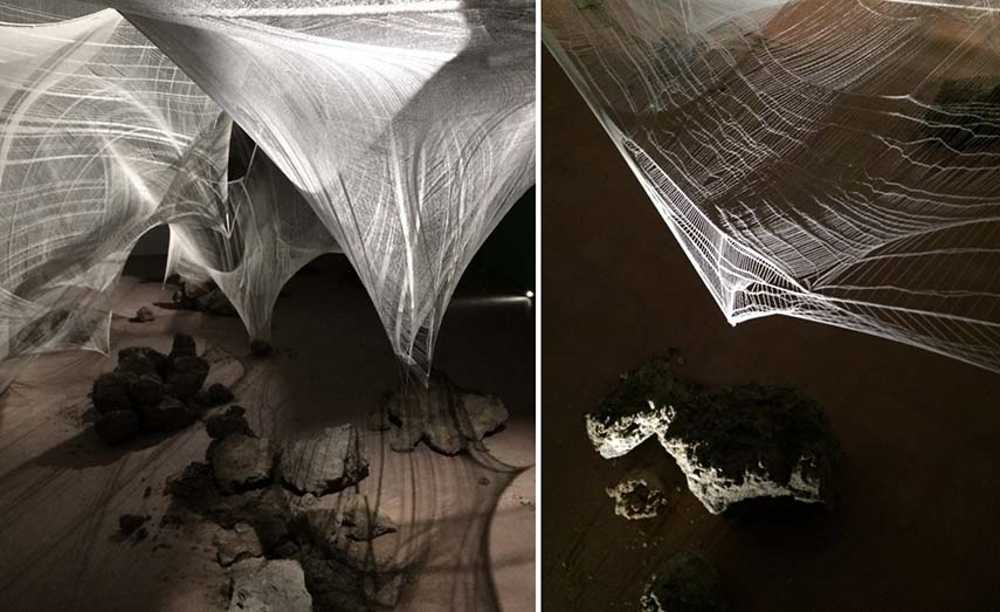 Julia von Stietencron: plots of art, science, and human perceptions