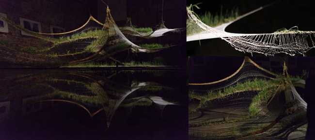 Julia von Stietencron: plots of art, science, and human perceptions