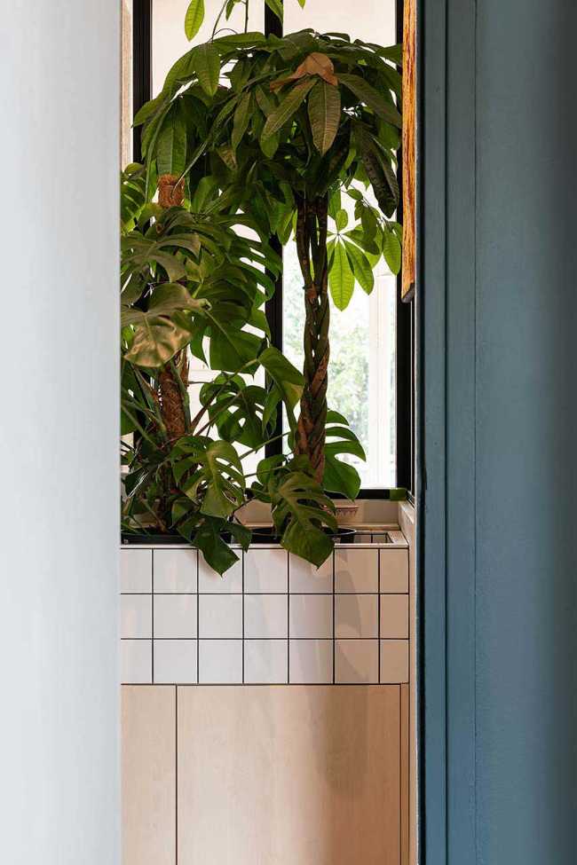 Rénovation d'un appartement des années 50 sur la Croix-Rousse à Lyon