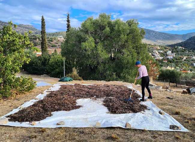 La 19ème Exposition Internationale d'Architecture de la Biennale de Venise : Intelligens. Naturel. Artificiel. Collectif.