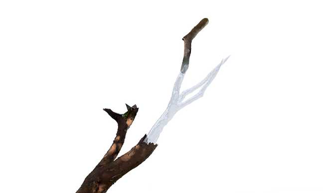 La 19ème Exposition Internationale d'Architecture de la Biennale de Venise : Intelligens. Naturel. Artificiel. Collectif.