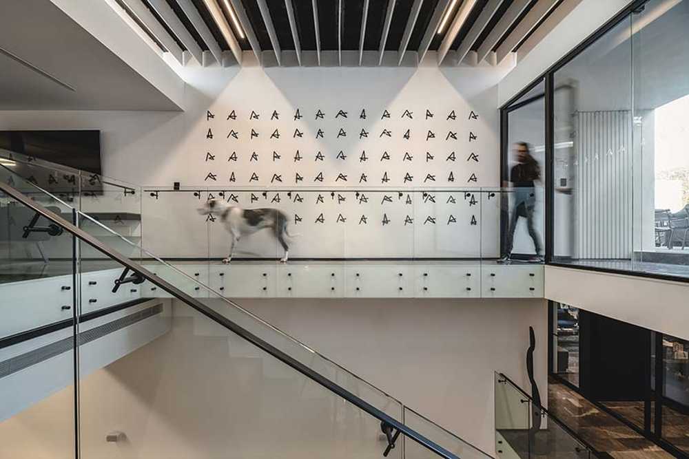 Extraordinary daily: The Asylum where inspiration becomes space