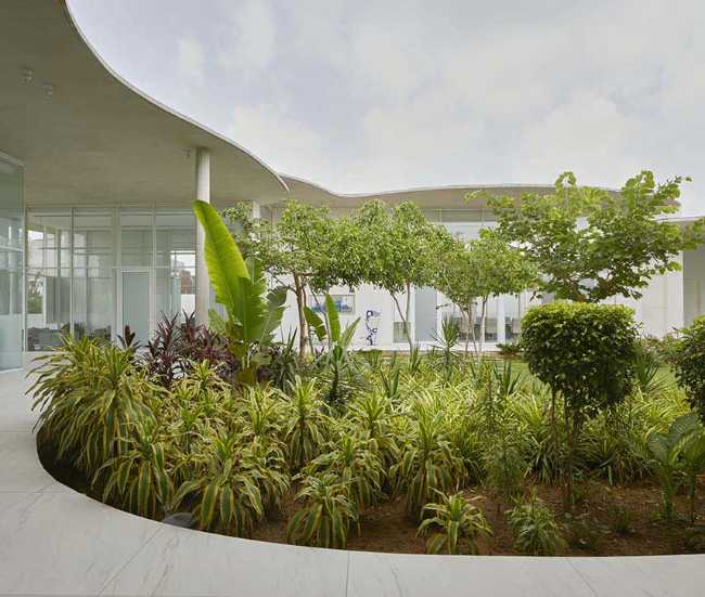 Trascender el espacio de trabajo convencional: edificio Amoeba 2.0