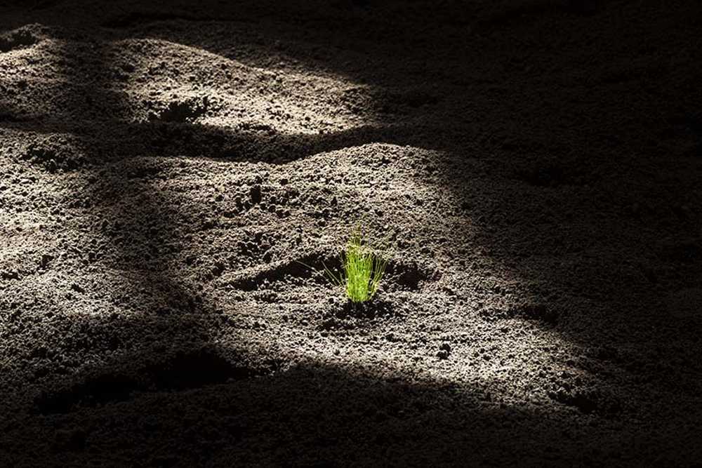 Pastorale di Nico Vascellari trasforma la Sala delle Cariatidi