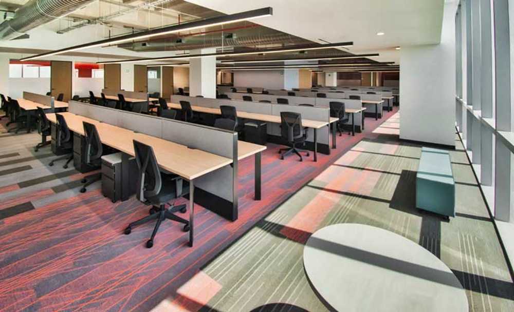 Luz y espacio en movimiento: la nueva cara de las oficinas CIE CREA.