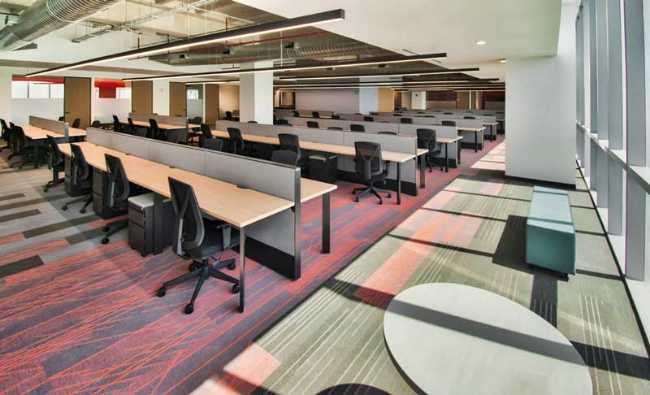 Luz y espacio en movimiento: la nueva cara de las oficinas CIE CREA.