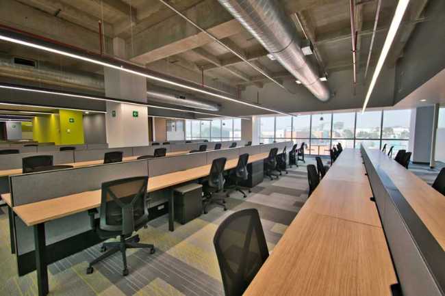 Luz y espacio en movimiento: la nueva cara de las oficinas CIE CREA.