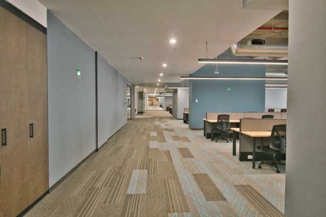 Luz y espacio en movimiento: la nueva cara de las oficinas CIE CREA.