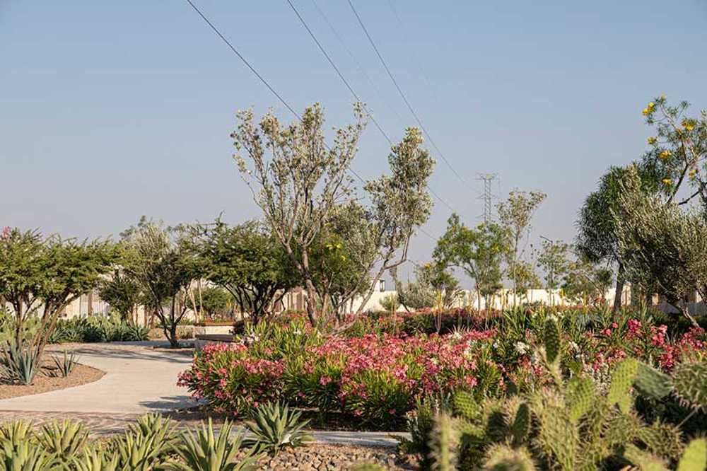Parque lineal de La Valenciana: un camino entre historia y naturaleza