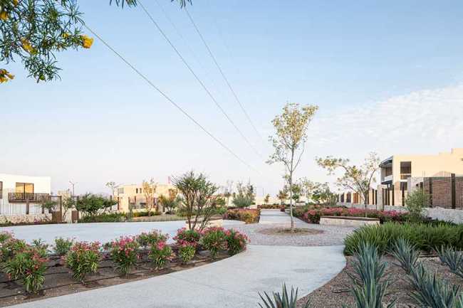 Parque lineal de La Valenciana: un camino entre historia y naturaleza