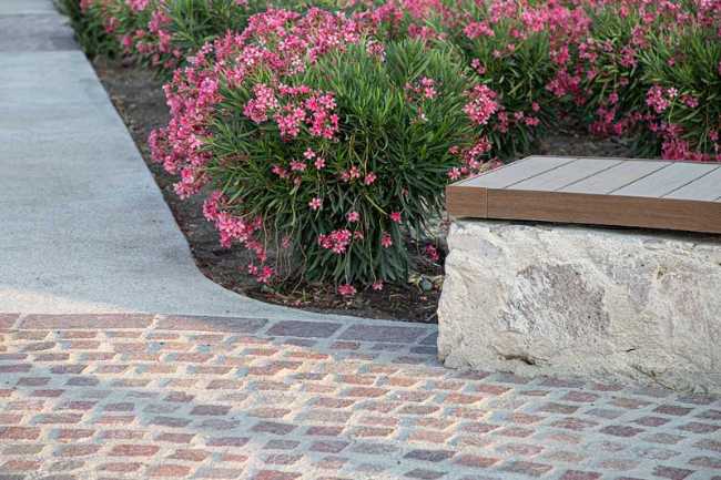 Parque lineal de La Valenciana: un camino entre historia y naturaleza