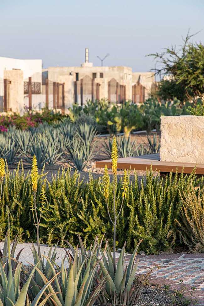 Parque lineal de La Valenciana: un camino entre historia y naturaleza