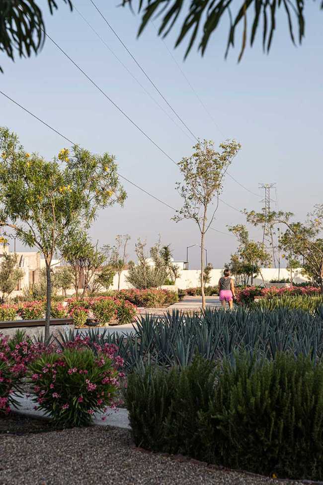 Parque lineal de La Valenciana: un camino entre historia y naturaleza