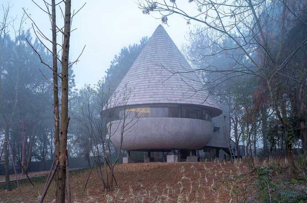 The Mushroom: una casa de madera que pertenece al bosque