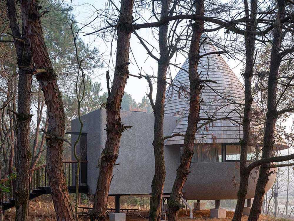 The Mushroom: a wooden house that belongs to the forest