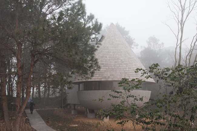 The Mushroom: a wooden house that belongs to the forest