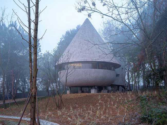 The Mushroom: a wooden house that belongs to the forest