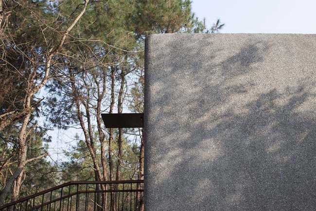 The Mushroom: a wooden house that belongs to the forest