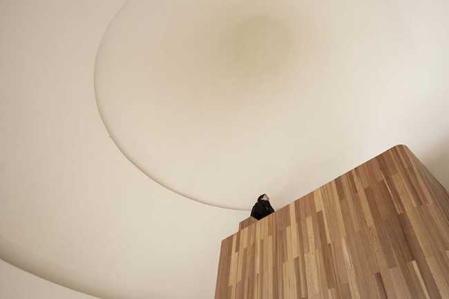 The Mushroom: a wooden house that belongs to the forest