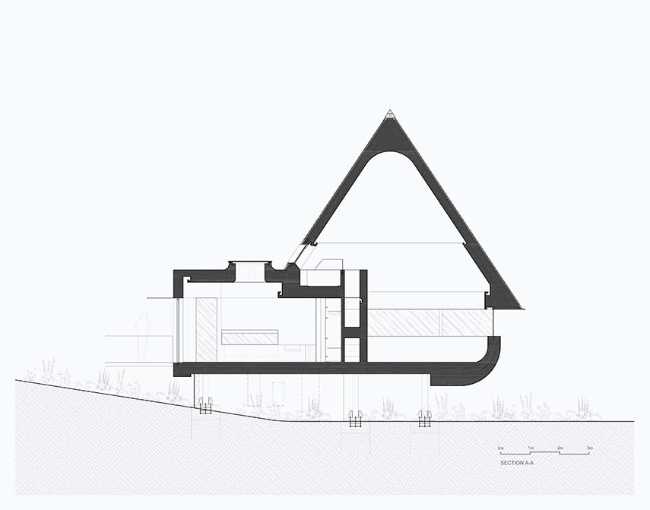 The Mushroom: a wooden house that belongs to the forest