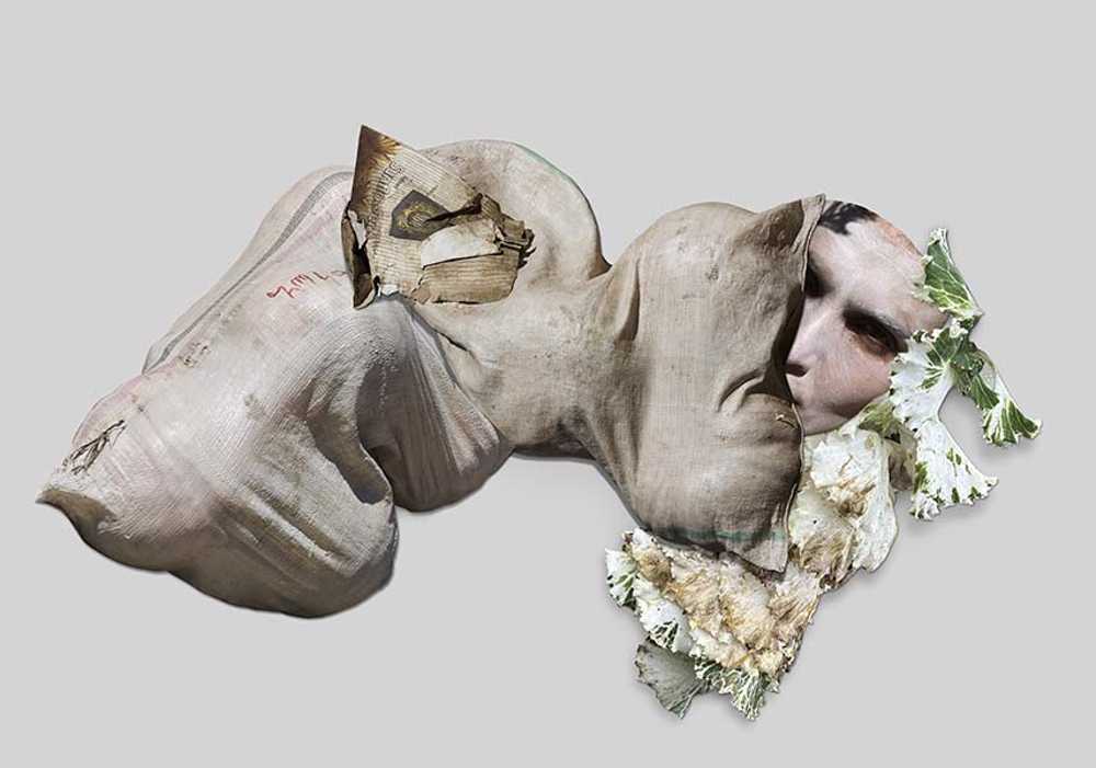 This Body Made of Stardust: le corps fragile et puissant de Viviane Sassen