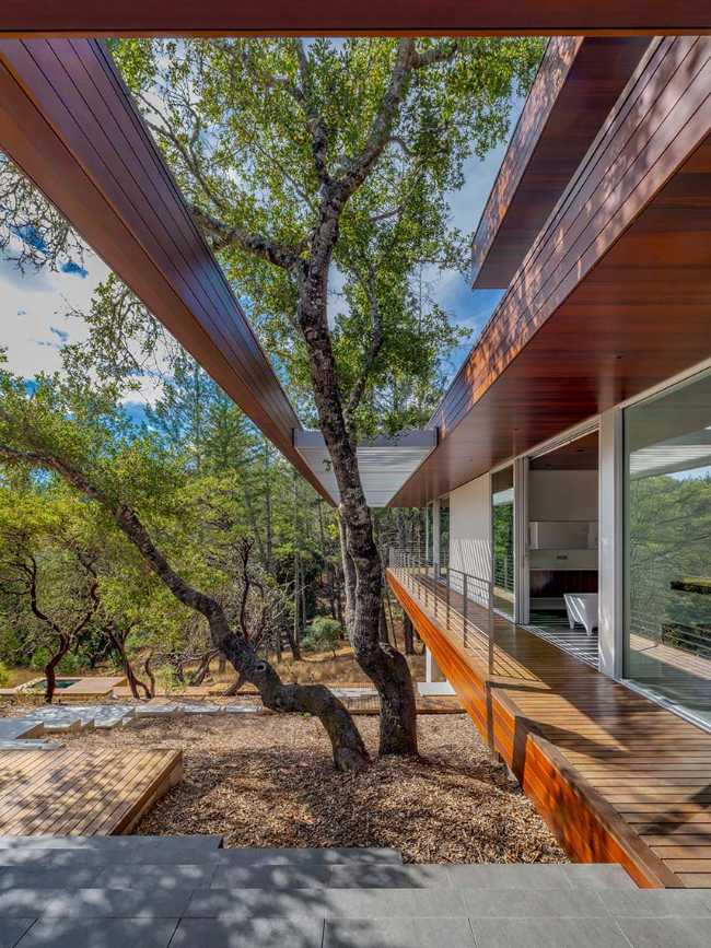 Whispering Stones: essential luxury immersed in the vineyards of California