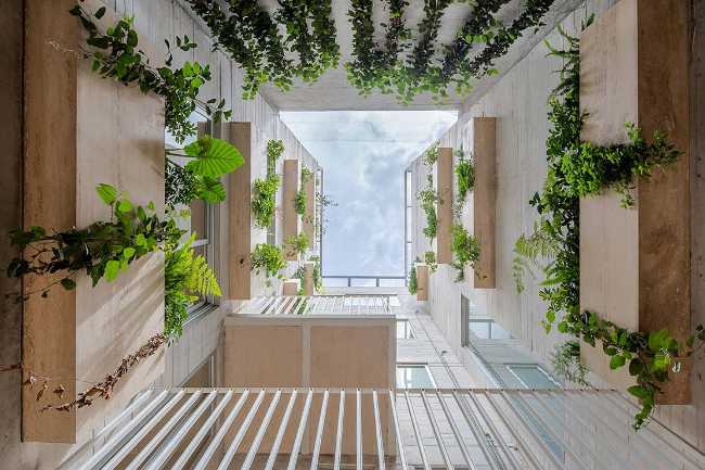 An urban oasis on six levels in the heart of Mexico City