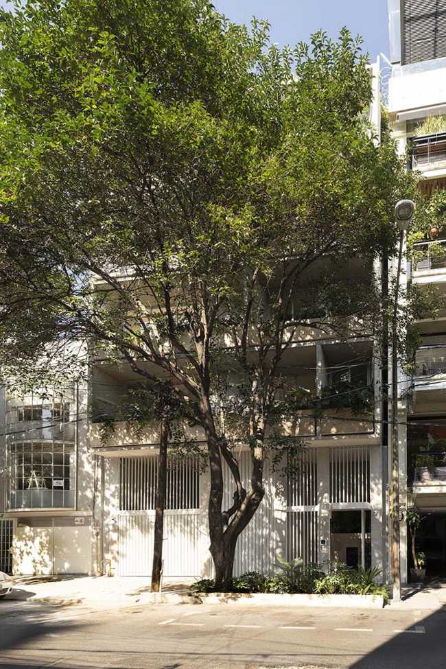 An urban oasis on six levels in the heart of Mexico City