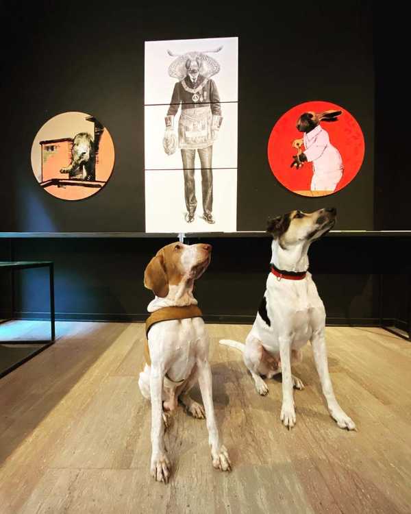 Hacer arte, hacer a mano: el arte vivo de Squadro.