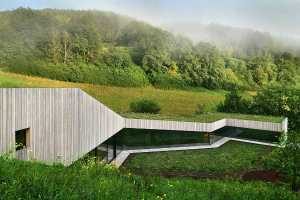 El eco del bosque en el cuerpo de la arquitectura.