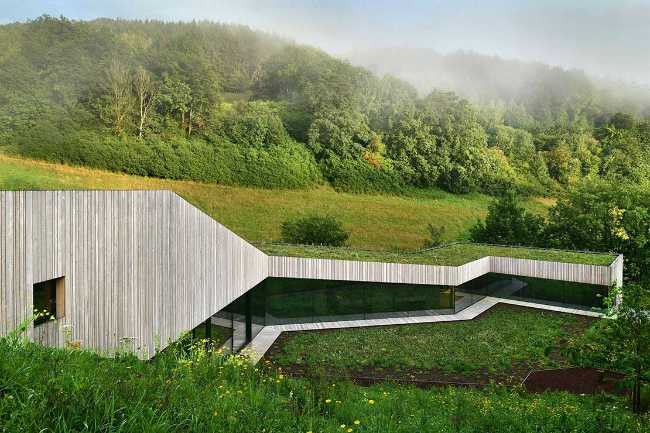 The echo of the forest in the body of architecture