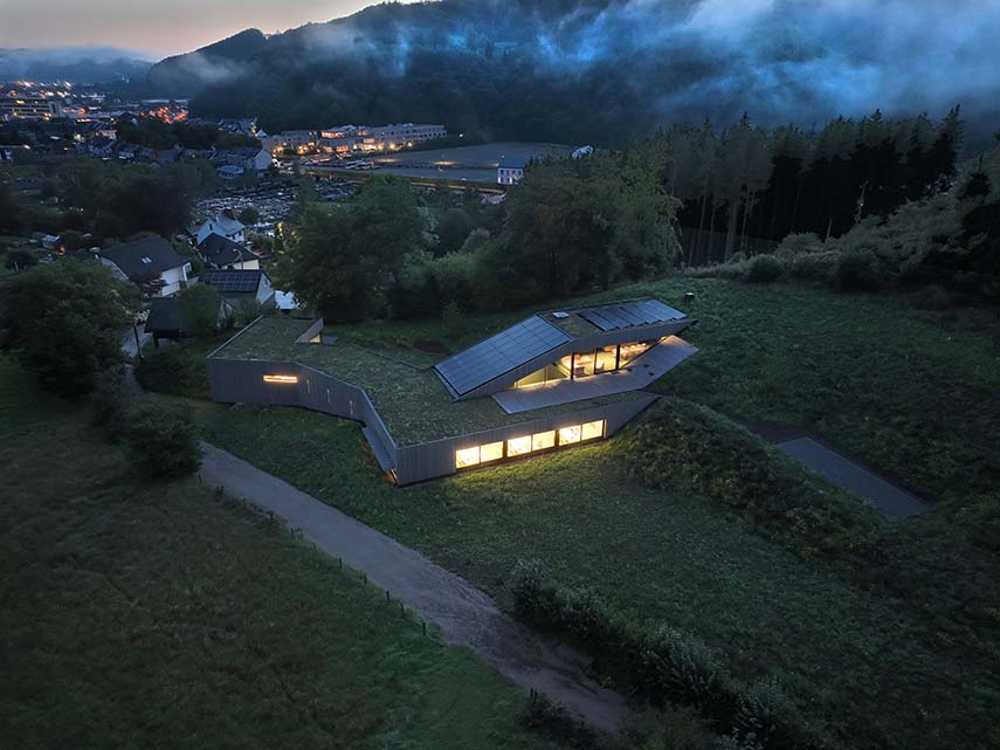 The echo of the forest in the body of architecture