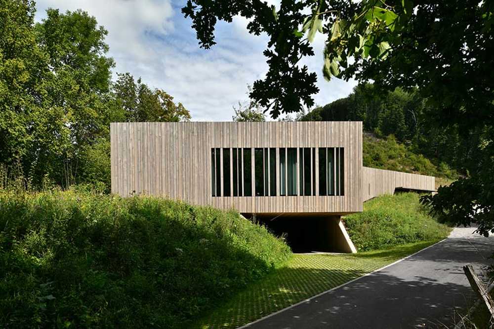 The echo of the forest in the body of architecture
