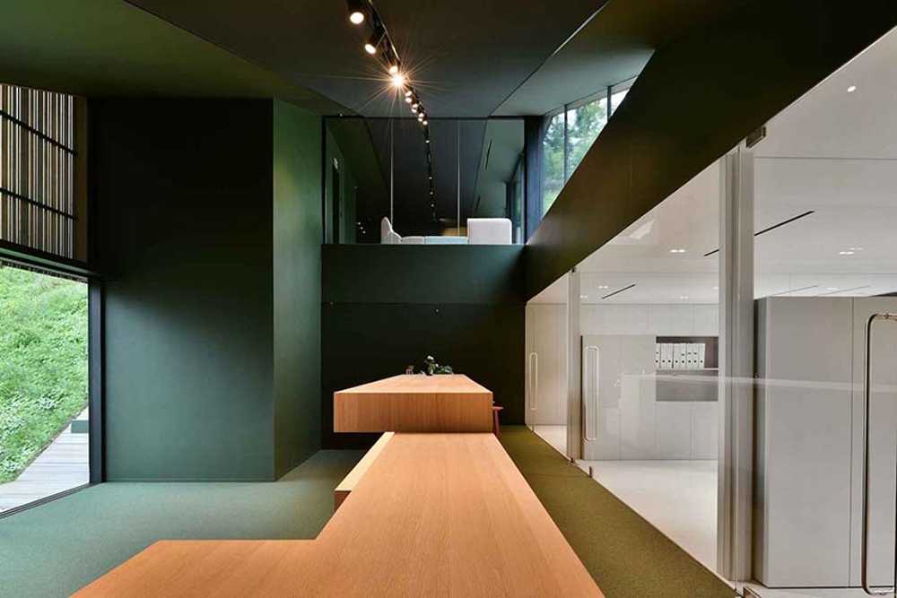The echo of the forest in the body of architecture