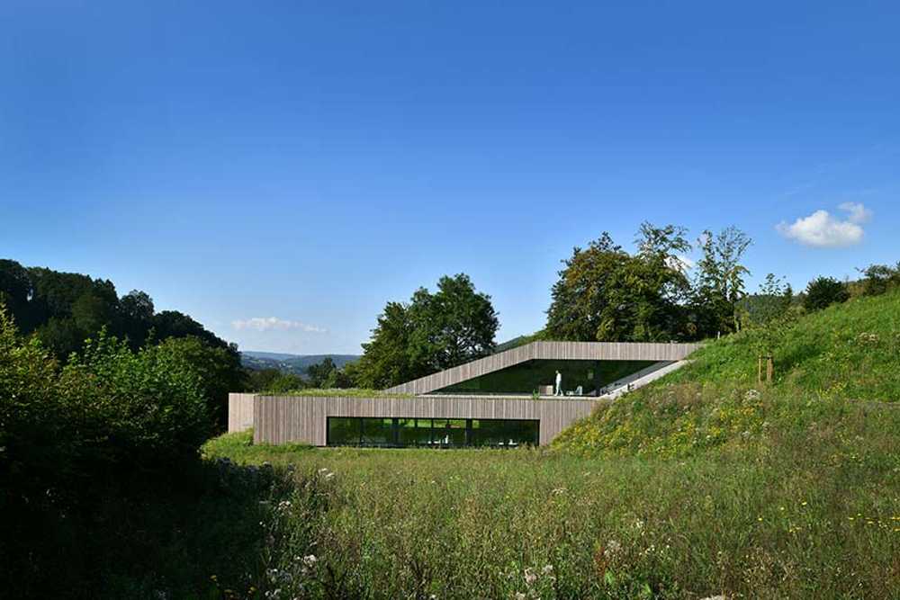 The echo of the forest in the body of architecture
