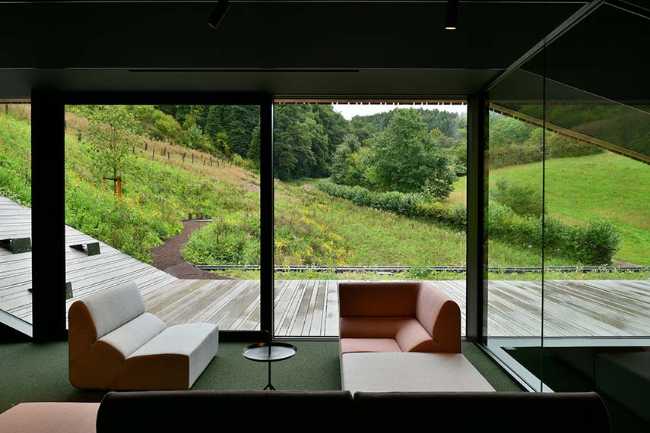 The echo of the forest in the body of architecture