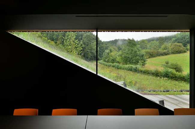 The echo of the forest in the body of architecture