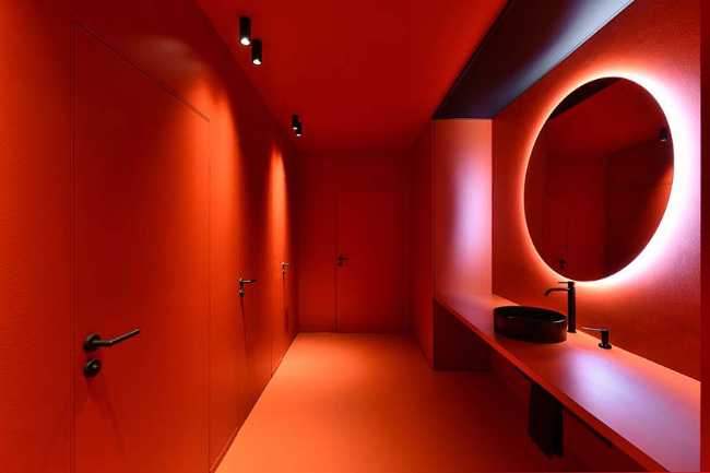 The echo of the forest in the body of architecture