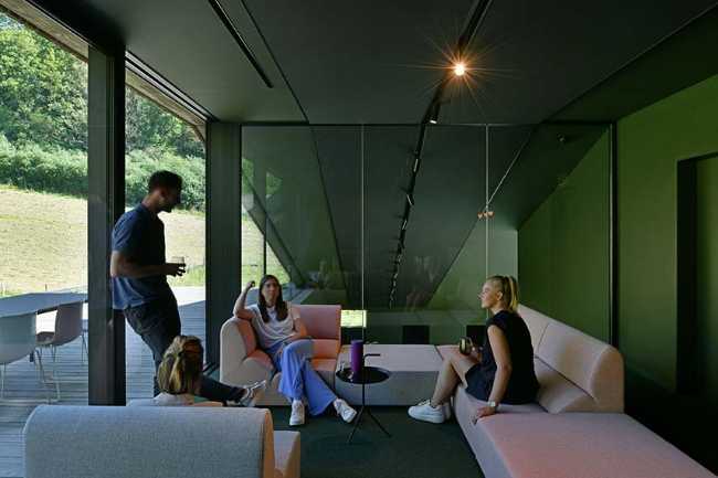 The echo of the forest in the body of architecture