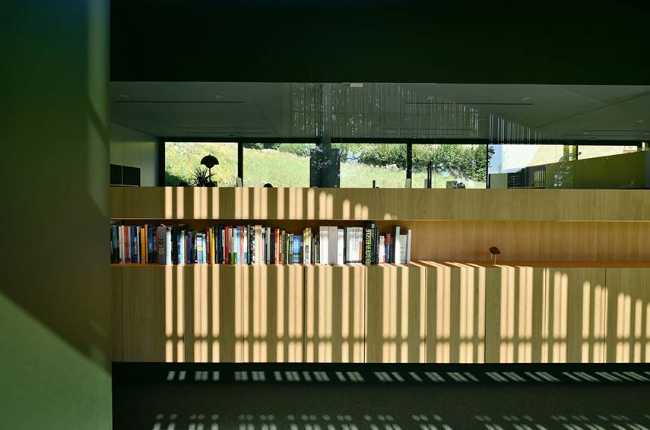 The echo of the forest in the body of architecture