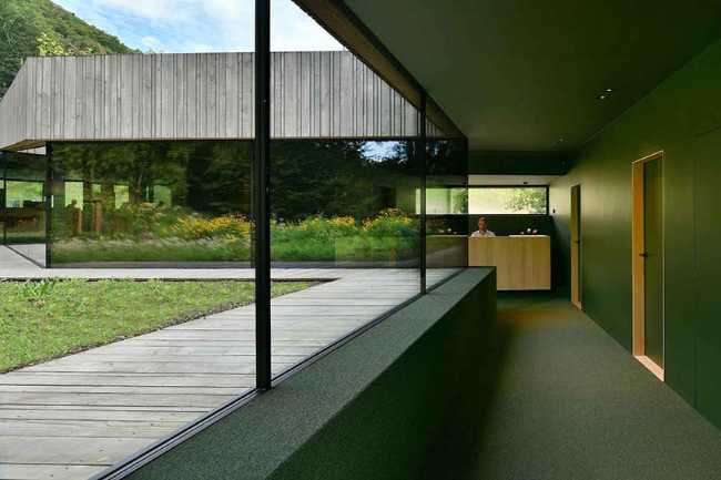 The echo of the forest in the body of architecture