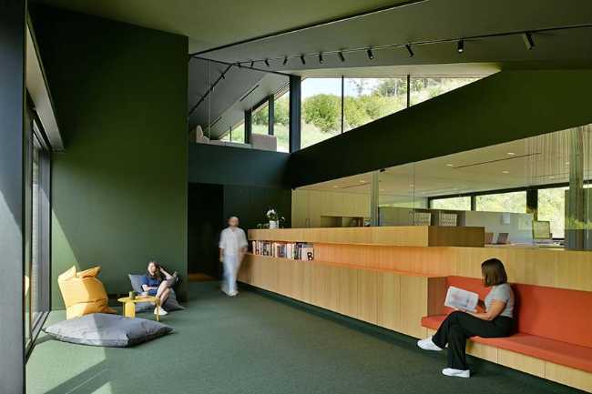 The echo of the forest in the body of architecture