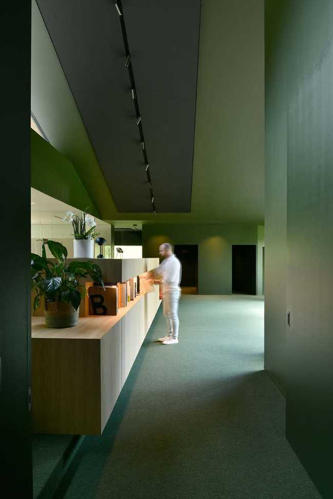 The echo of the forest in the body of architecture