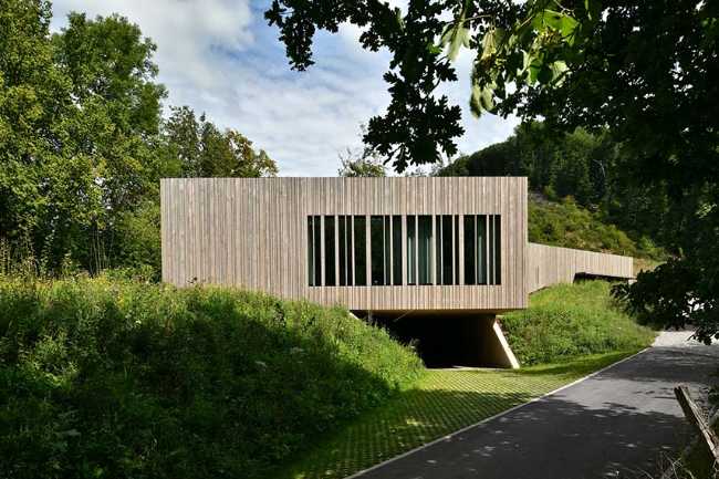 The echo of the forest in the body of architecture