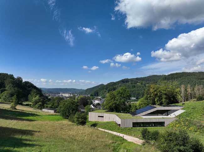 The echo of the forest in the body of architecture