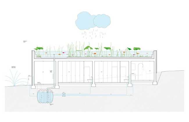 Casa Cisterna. Living architecture that recovers rainwater