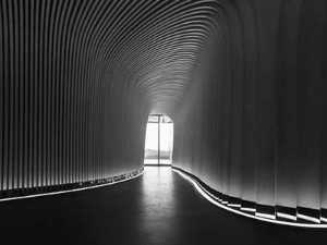 LYCS Architecture