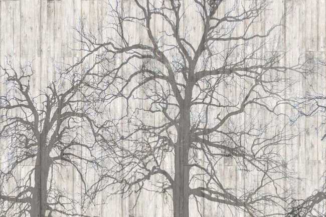 Superfici che ispirano: la natura si stampa sull’architettura