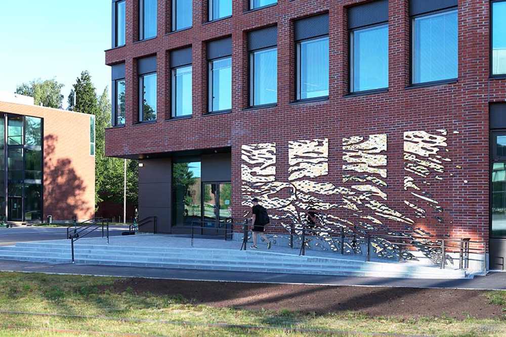 Reflets en mouvement